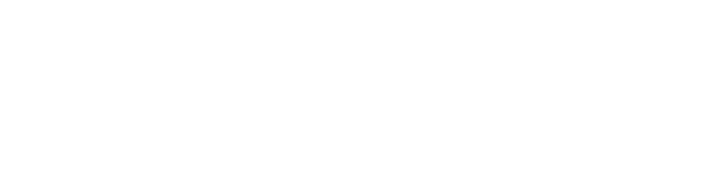 logo dark scheme